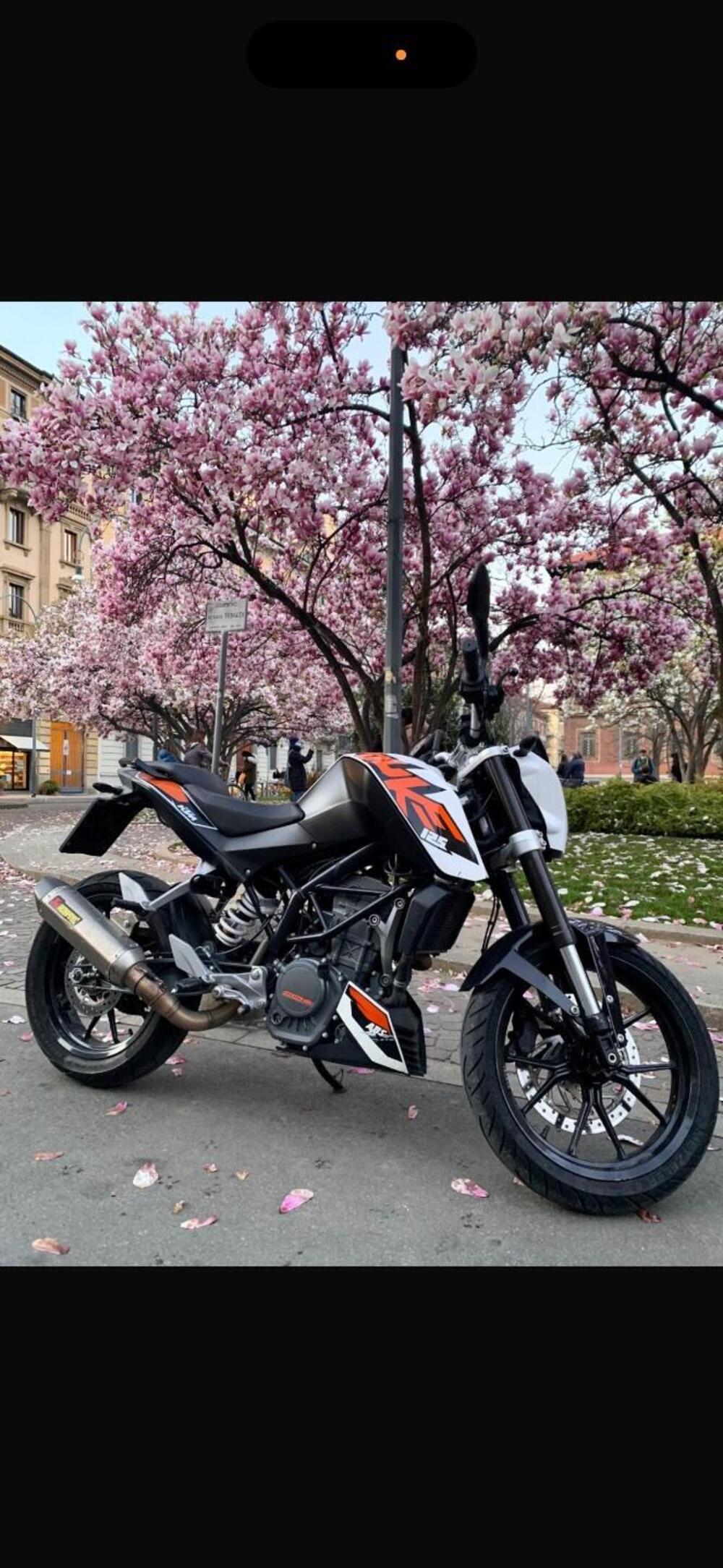 KTM 125 Duke ABS (2013 - 16) (5)