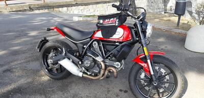 Ducati Scrambler 800 Icon (2017 - 20) usata