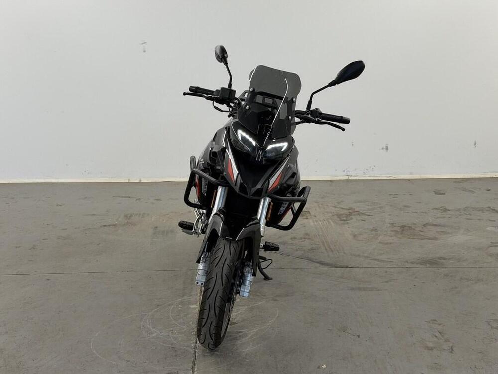 Benelli TRK 251 (2022 - 25) (6)