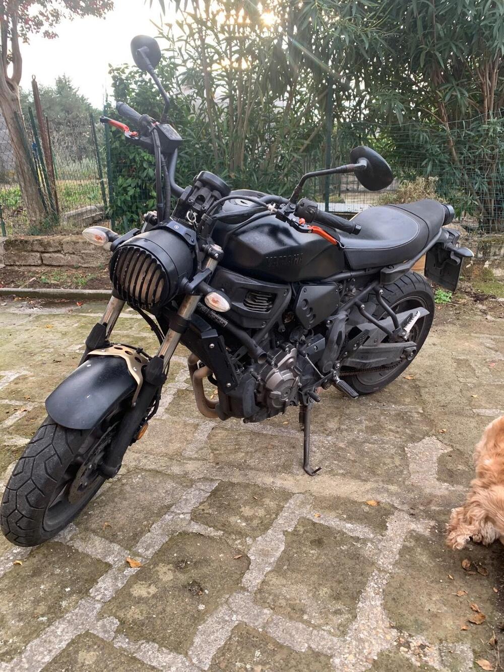 Yamaha XSR 700 ABS (2016 - 20) (6)