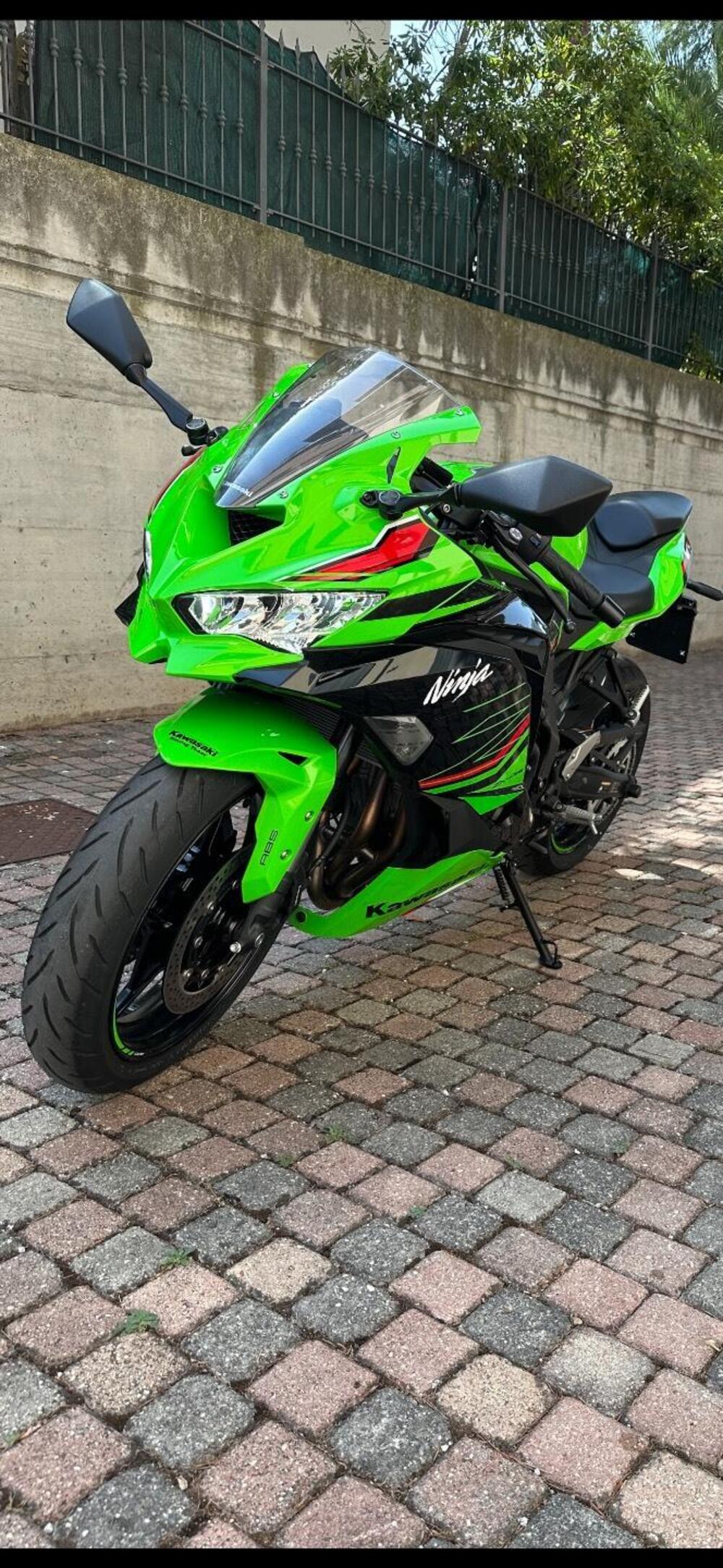 Kawasaki Ninja ZX-4RR 40th Anniversay Edition (2024) (4)