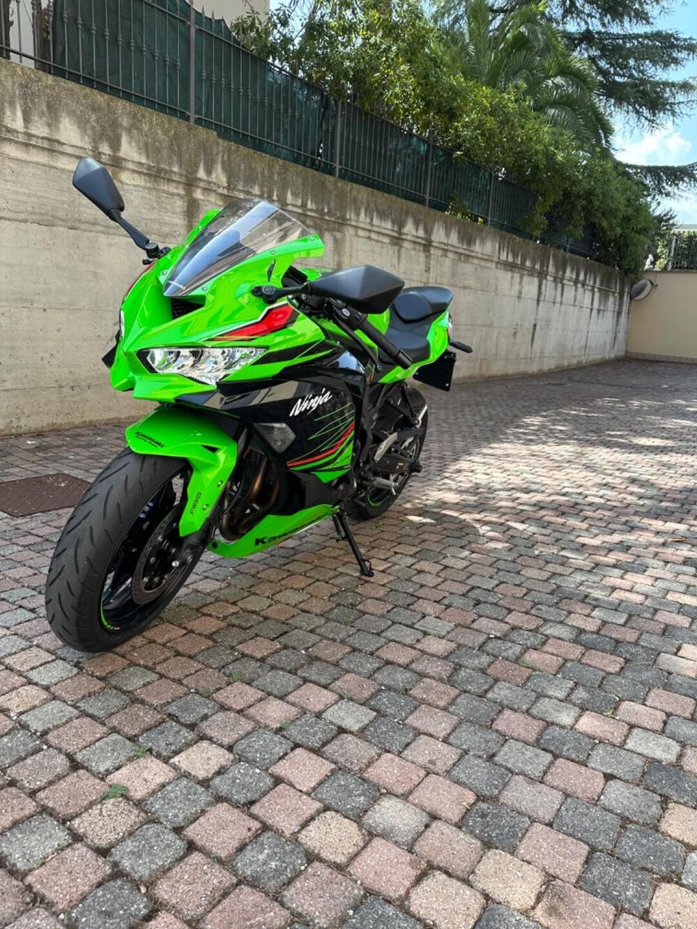 Kawasaki Ninja ZX-4RR 40th Anniversay Edition (2024) (5)