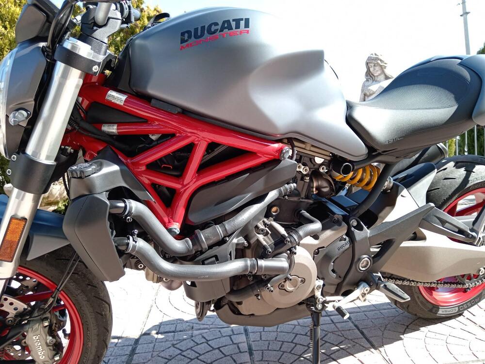 Ducati Monster 821 (2018 - 20) (3)