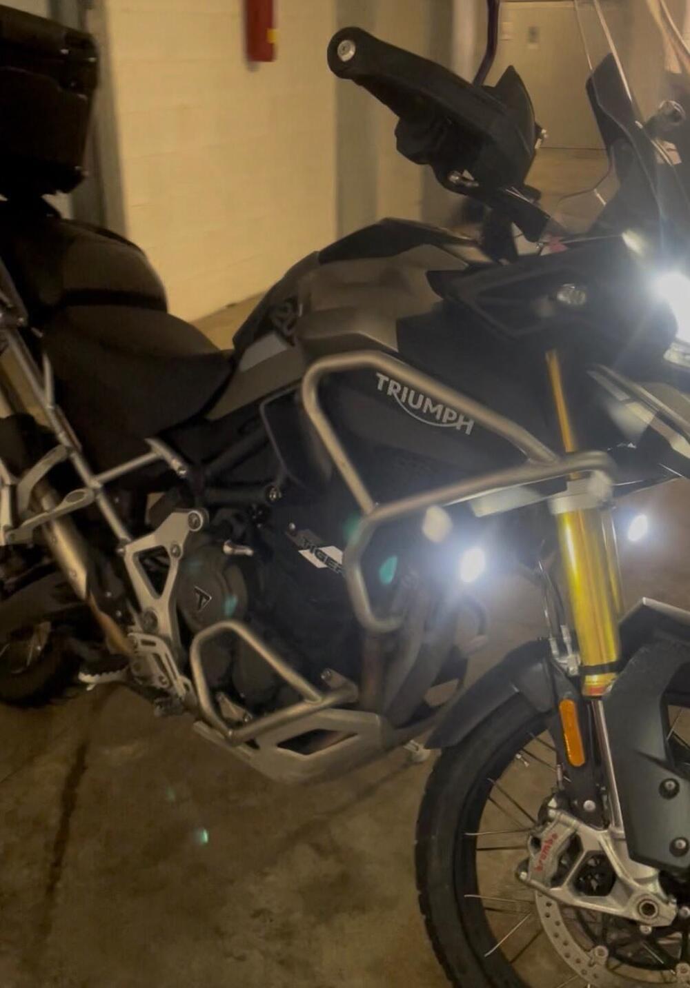 Triumph Tiger 1200 Rally Pro (2024 - 26) (12)