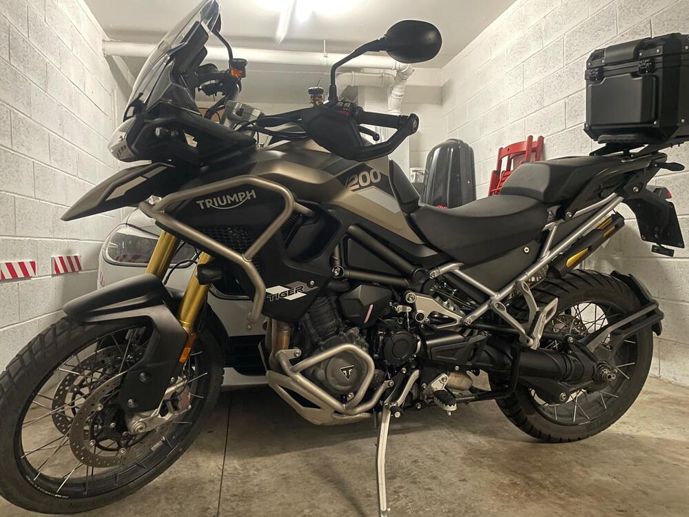 Triumph Tiger 1200 Rally Pro (2024 - 26) (13)