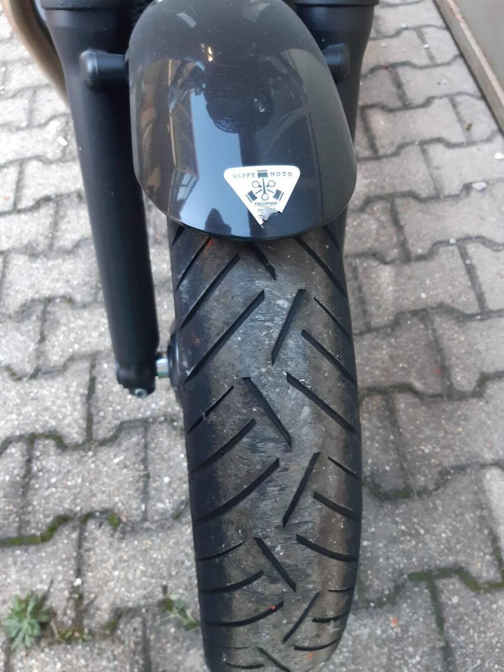 Triumph Speed Twin 900 (2023 - 24) (6)