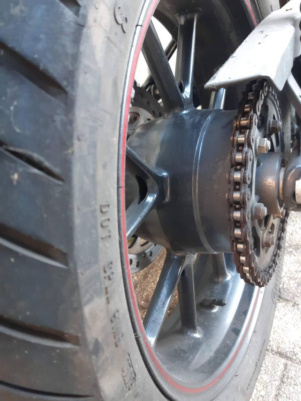 Triumph Speed Twin 900 (2023 - 24) (11)