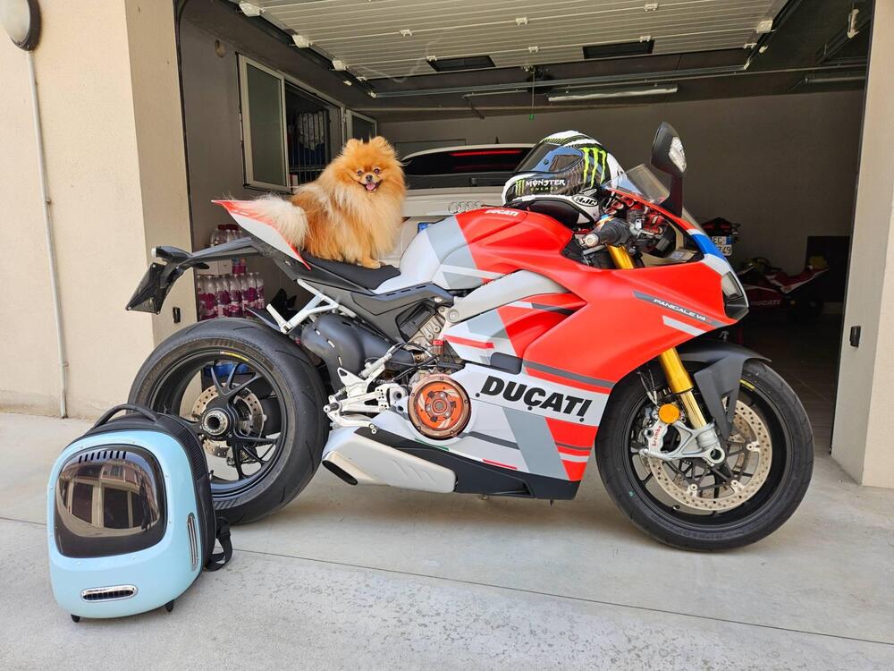 Ducati Panigale V4 S 1100 Corse (2019)