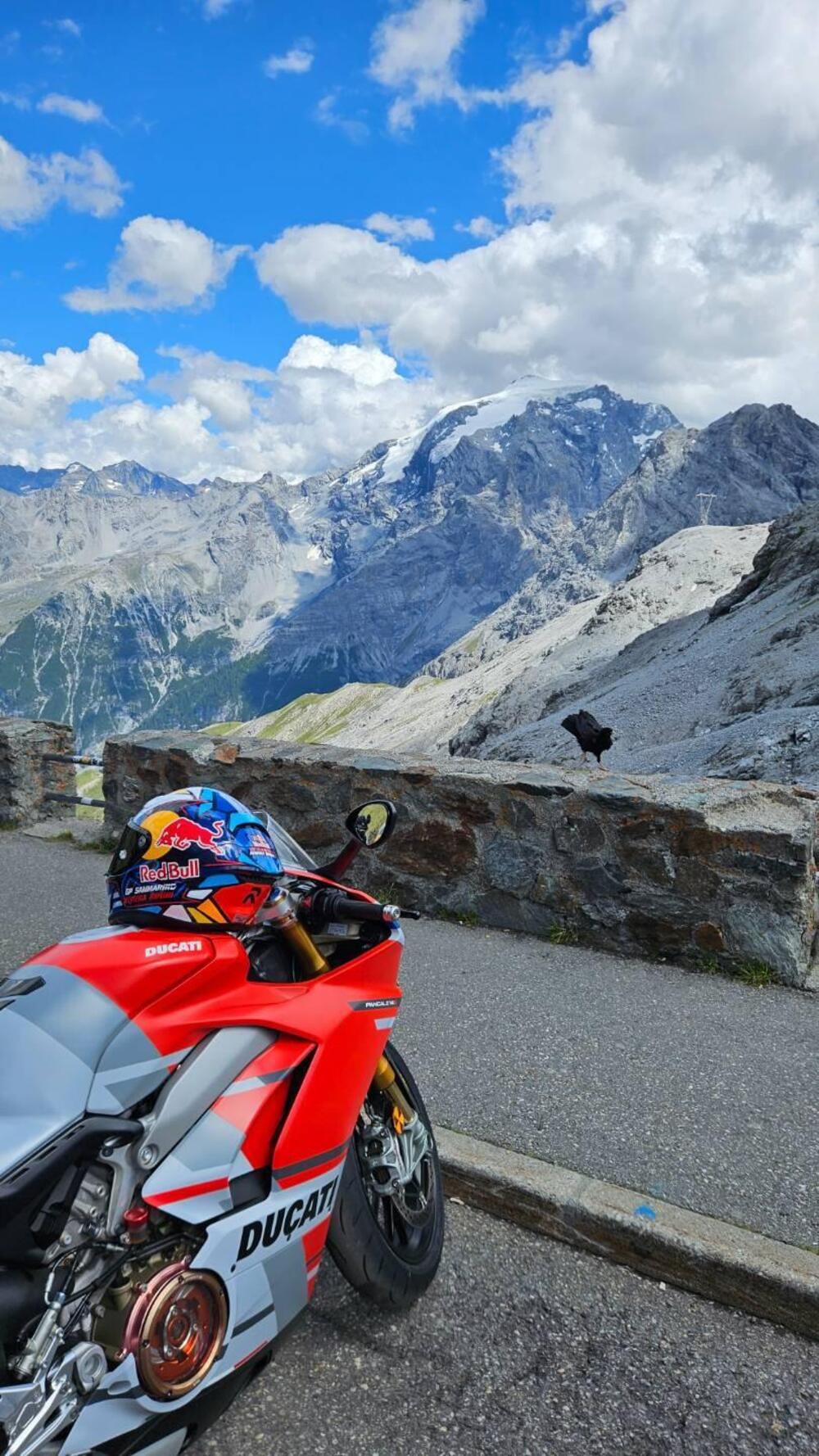 Ducati Panigale V4 S 1100 Corse (2019) (7)