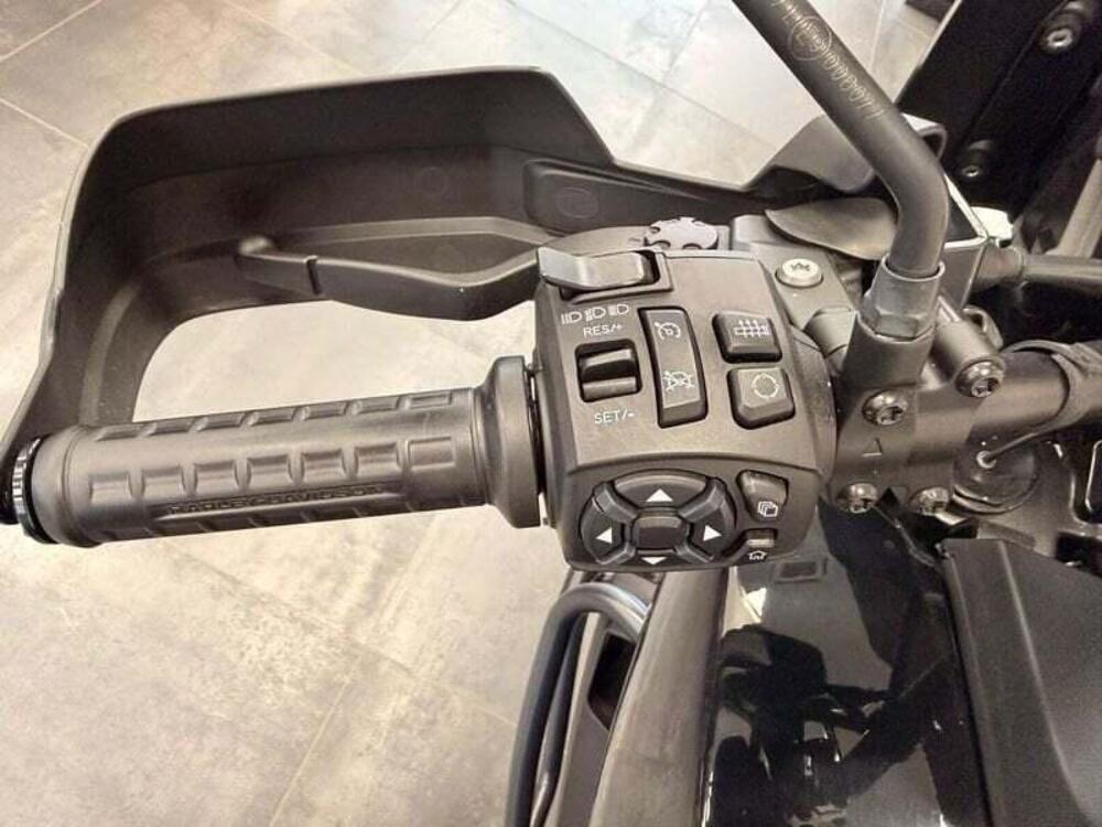 Harley-Davidson Pan America 1250 Special (2020 - 25) (6)