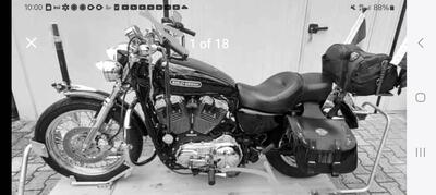 Harley-Davidson 1200 Low (2008 - 09) - XL 1200L usata