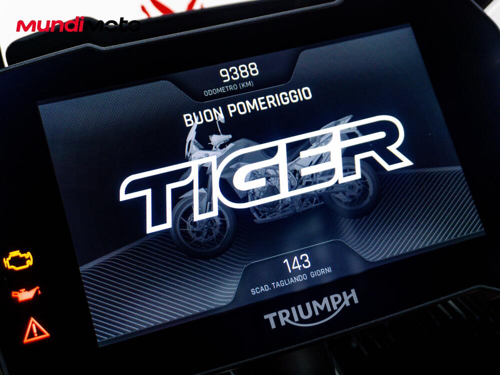 Triumph Tiger 900 GT (2024 - 26) (12)