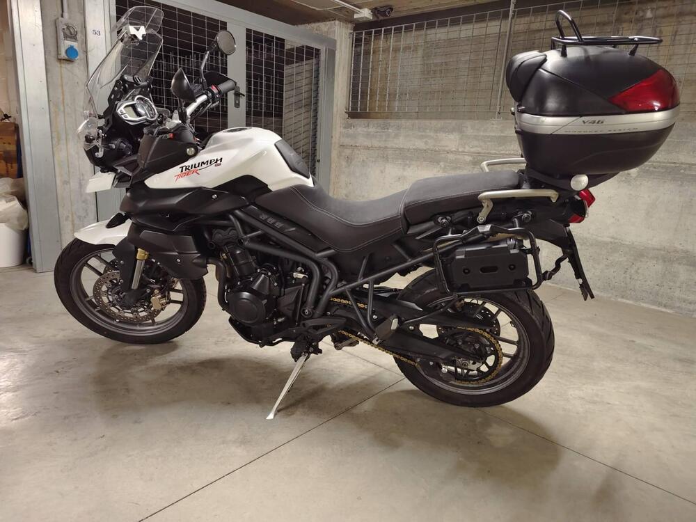 Triumph Tiger 800 ABS (2010 - 14) (4)