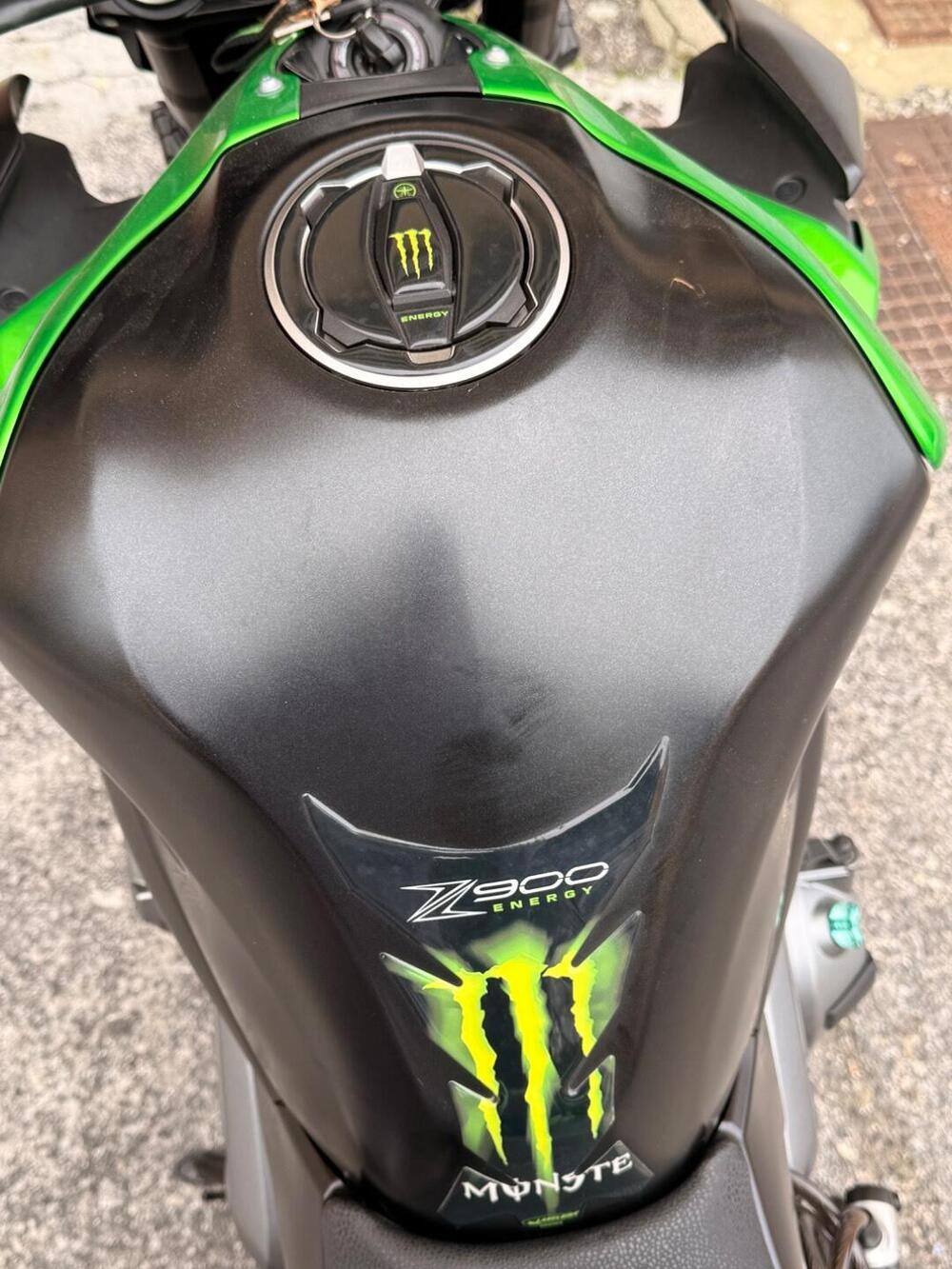 Kawasaki Z 900 Performance A2 (2019) (6)