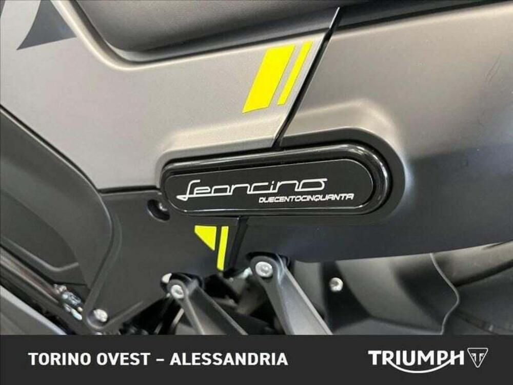 Benelli Leoncino 250 (2021 - 25) (5)