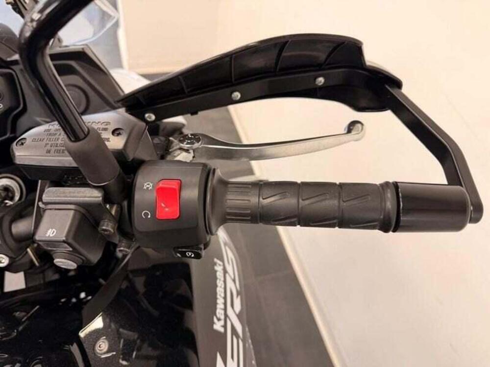 Kawasaki Versys 650 (2021 - 24) (8)