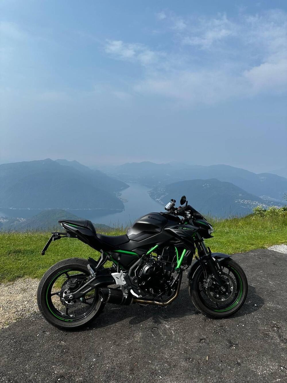 Kawasaki Z 650 (2021 - 24)