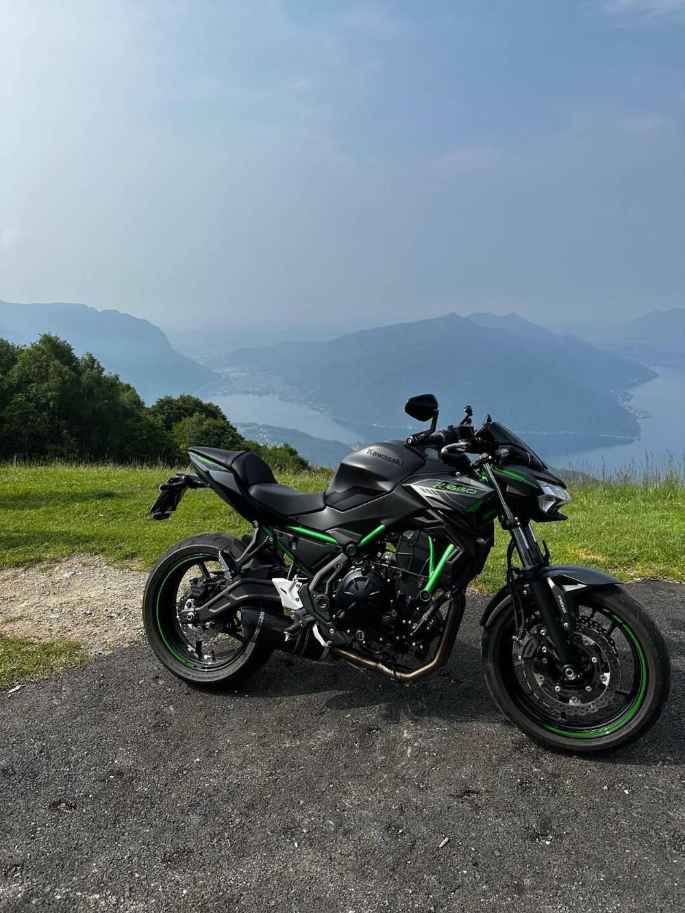 Kawasaki Z 650 (2021 - 24) (2)