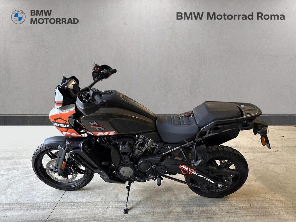 Harley-Davidson Pan America 1250 (2020 - 25)