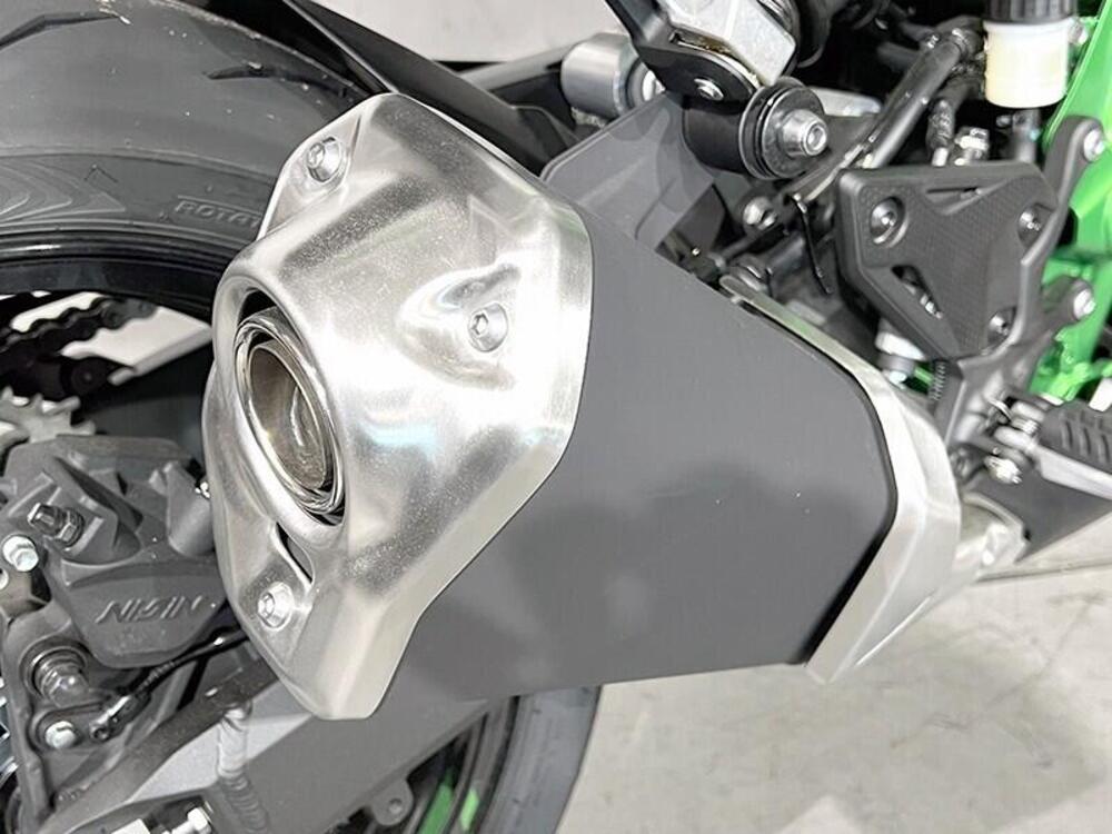 Kawasaki Z 900 A2 (2025 - 26) (5)