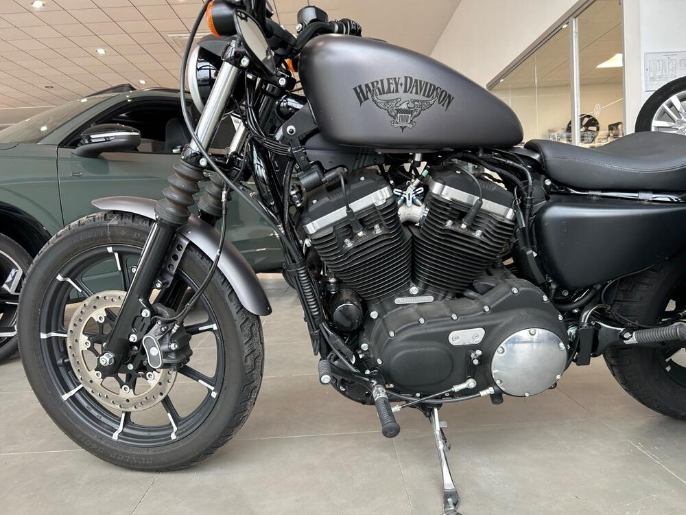 Harley-Davidson 883 Iron (2012 - 14) - XL 883N (5)