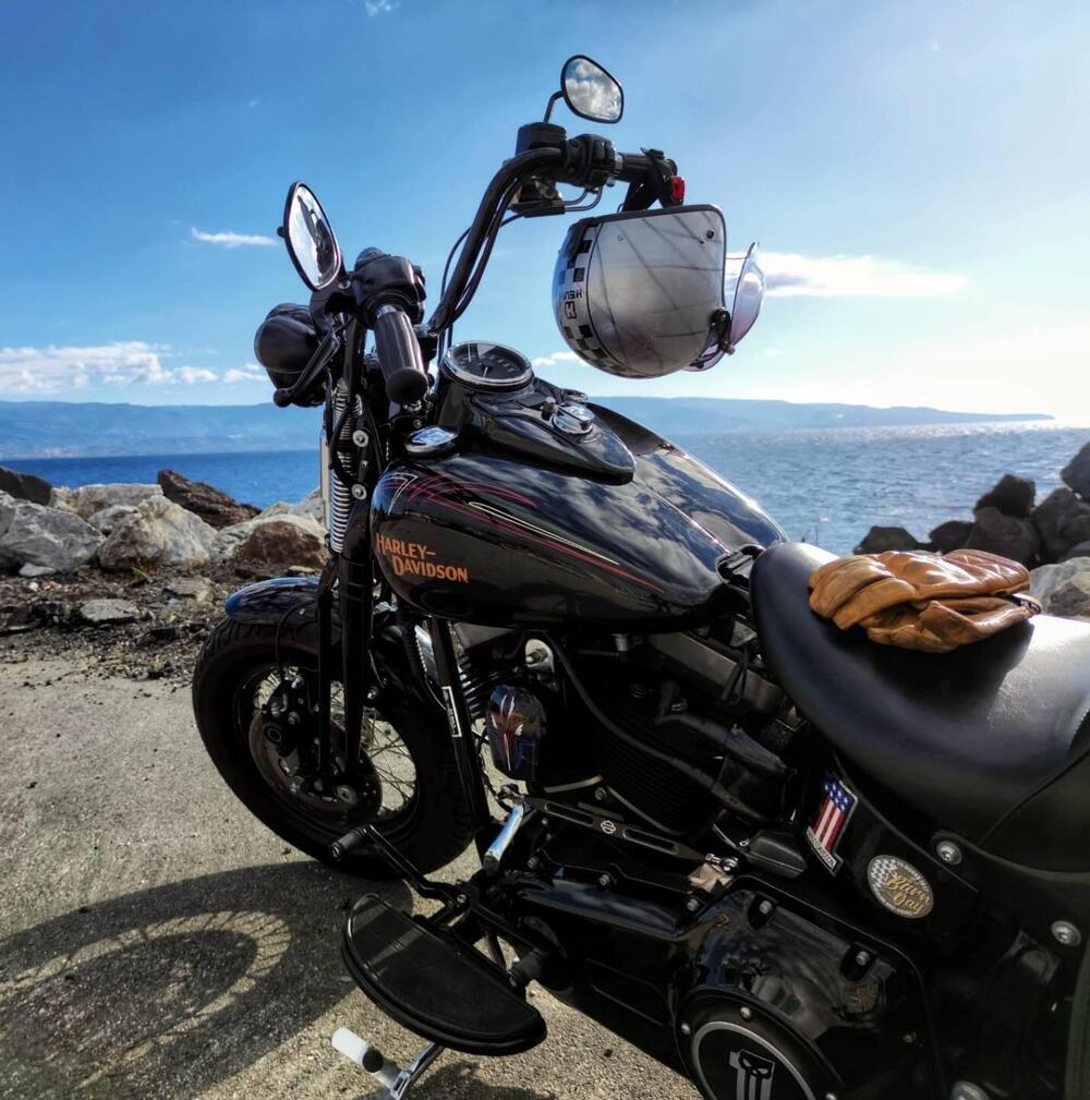 Harley-Davidson 1584 Cross Bones (2008 - 11) - FLSTSB (5)