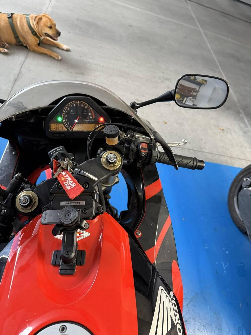 Honda CBR 1000 RR Fireblade (2006 - 07) (3)