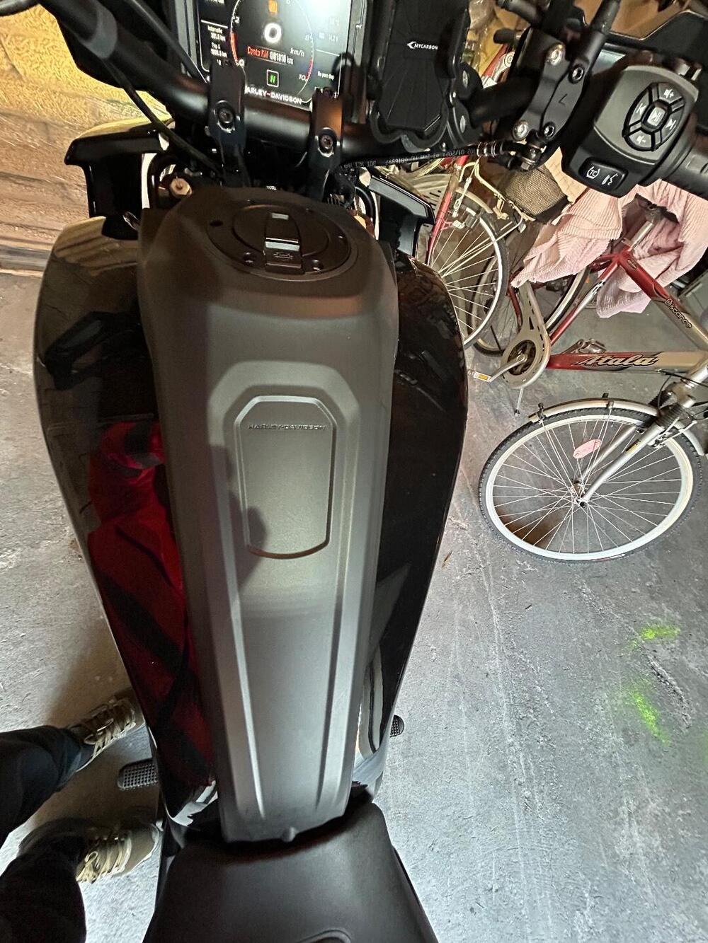 Harley-Davidson Pan America 1250 (2020 - 25) (6)