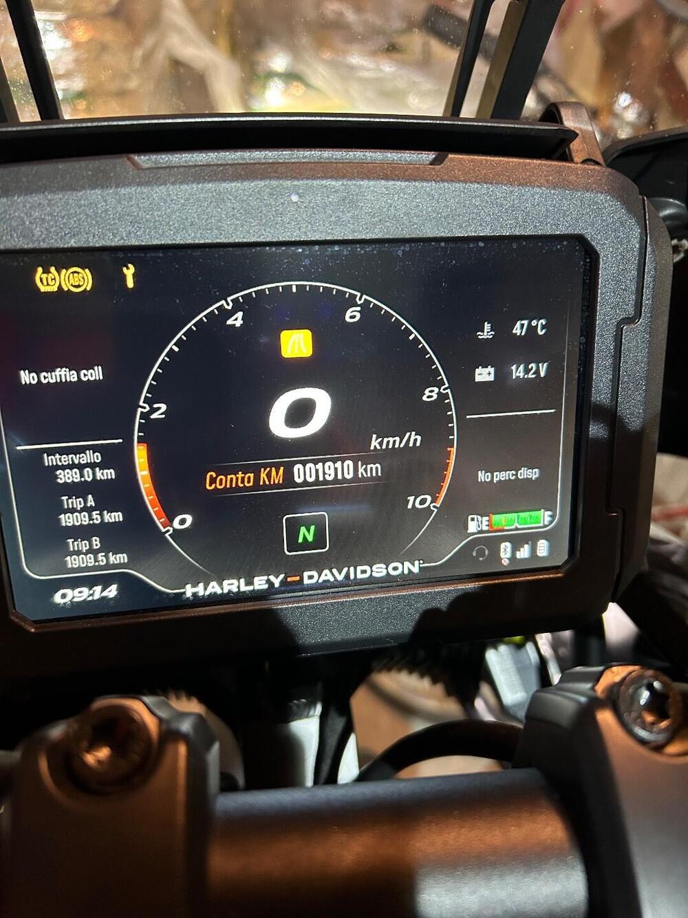 Harley-Davidson Pan America 1250 (2020 - 25) (7)