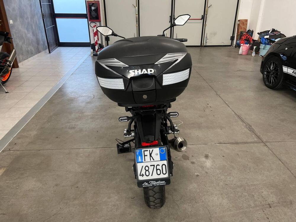 Voge Trofeo 300ACX Scrambler (2021 - 26) (7)