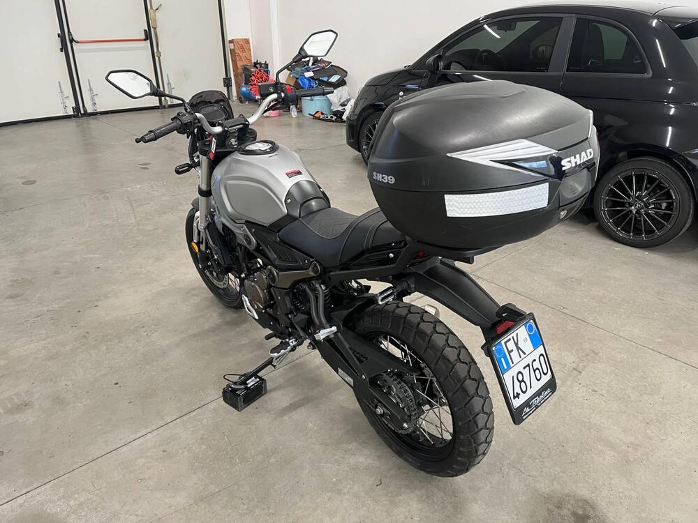 Voge Trofeo 300ACX Scrambler (2021 - 26) (8)