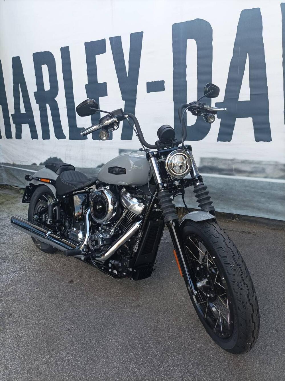 Harley-Davidson Street Bob 117 (2025 - 26)