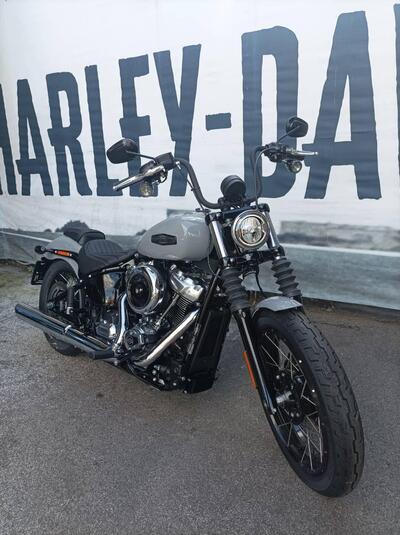 Harley-Davidson Street Bob 117 (2025 - 26) usata