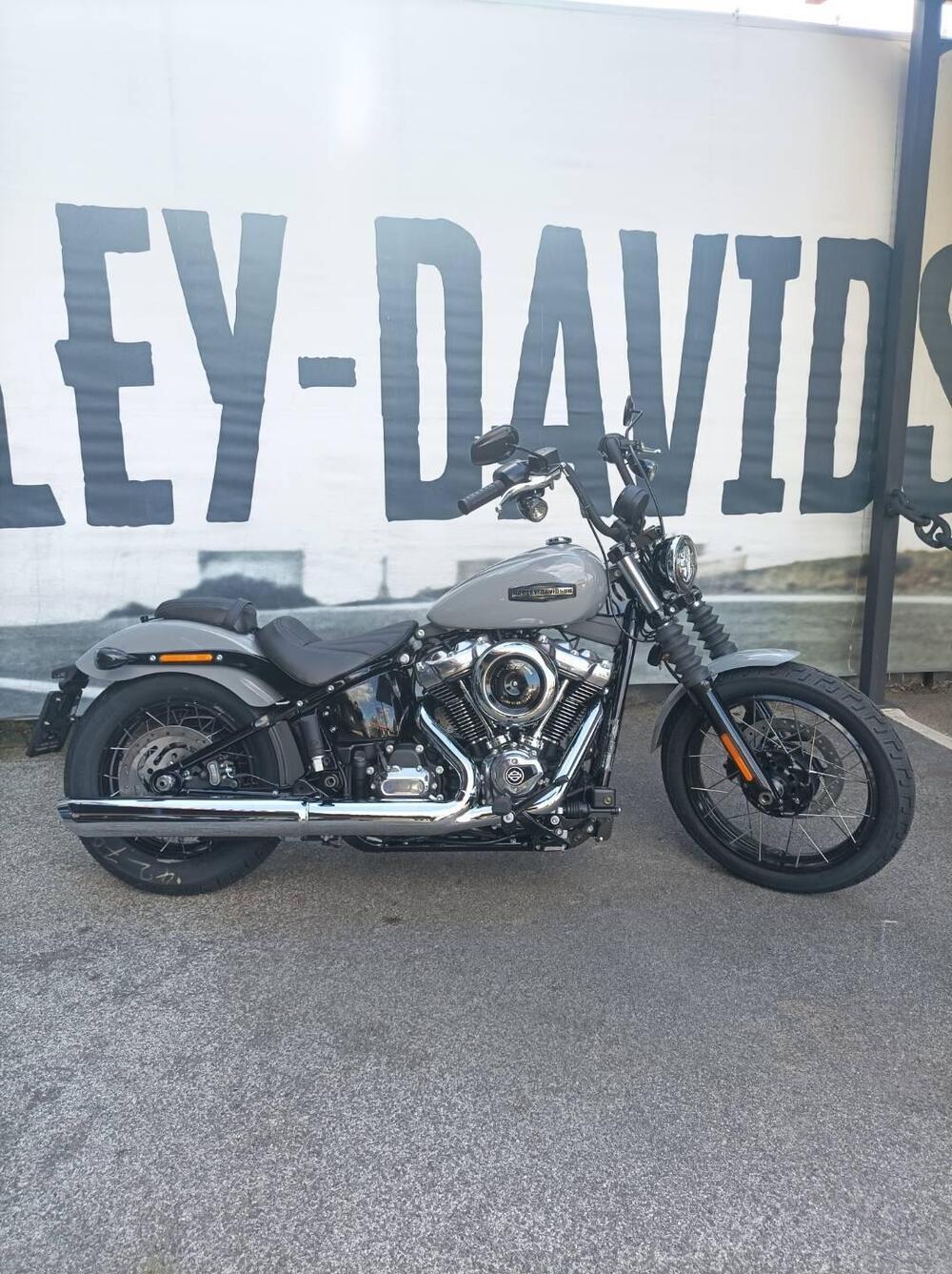 Harley-Davidson Street Bob 117 (2025 - 26) (2)