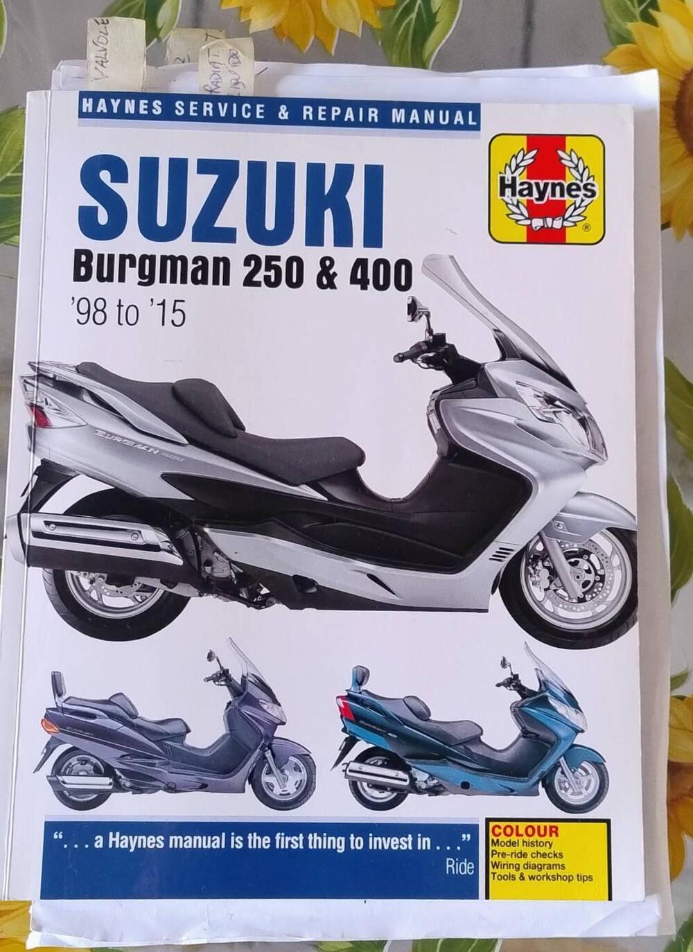 Suzuki Burgman AN 400 (2001 - 02) (9)