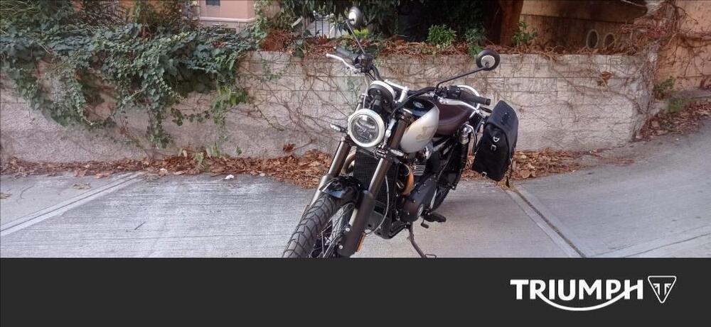 Triumph Scrambler 1200 X Icon Edition (2025 - 26) (3)