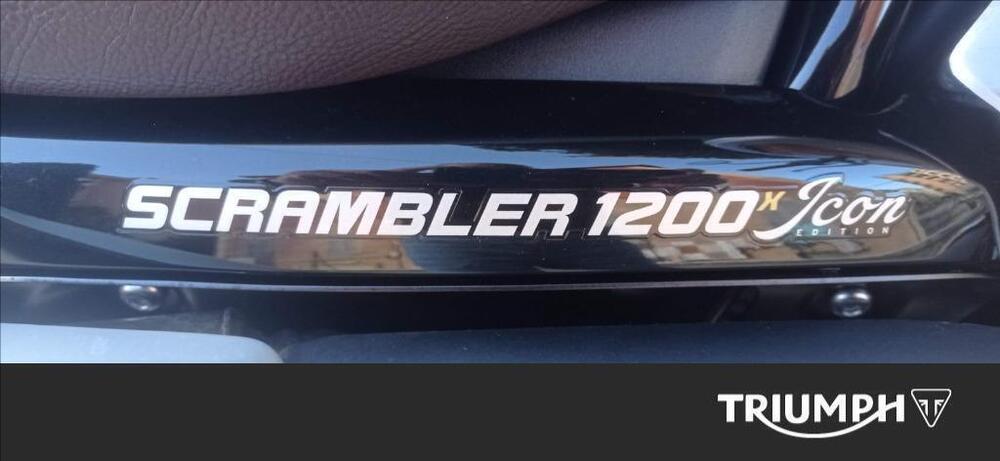 Triumph Scrambler 1200 X Icon Edition (2025 - 26) (6)