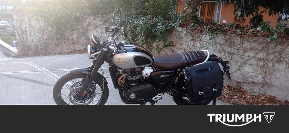 Triumph Scrambler 1200 X Icon Edition (2025 - 26) (2)