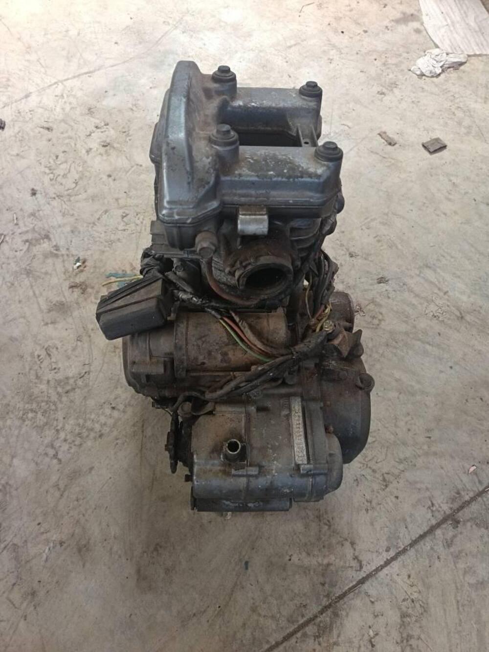 MOTORE KLR 600 Kawasaki (4)