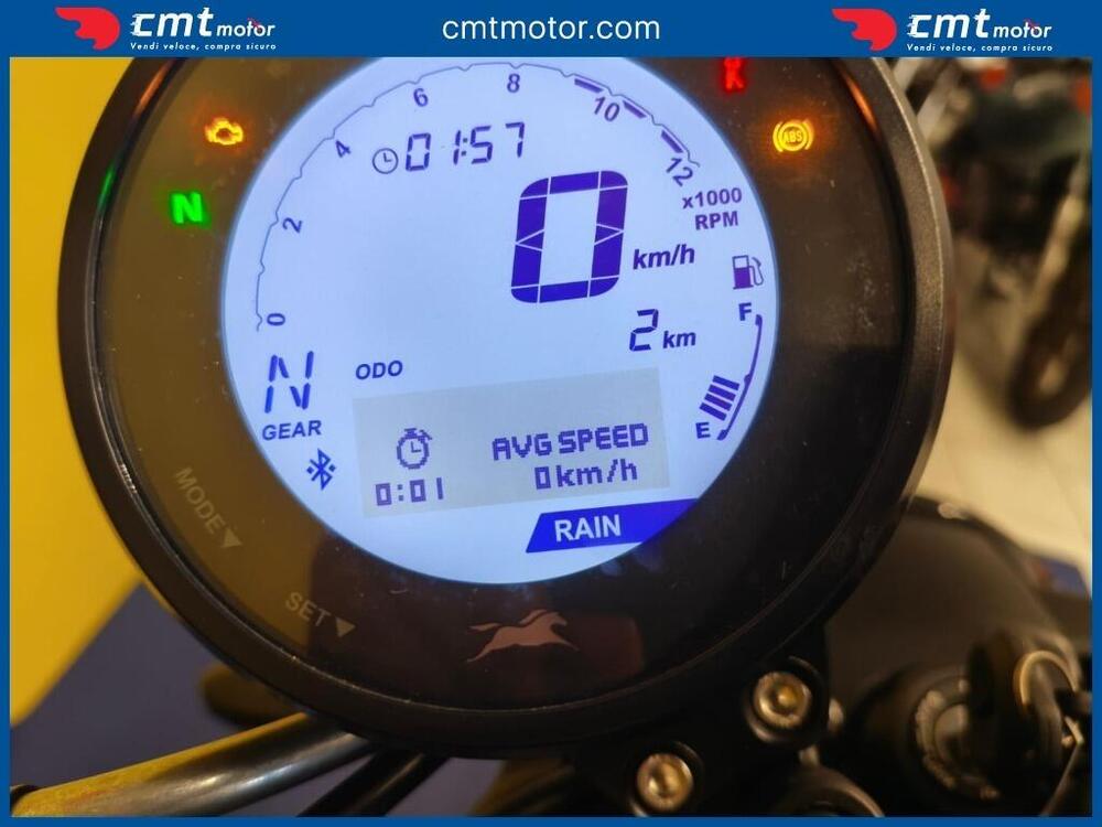 TVS Motor Ronin 250 (2024 - 26) (5)