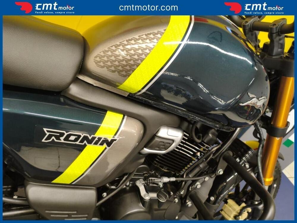 TVS Motor Ronin 250 (2024 - 26) (6)