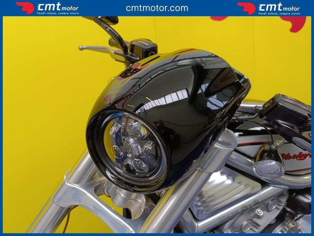 Harley-Davidson 1130 V-Rod (2002 - 05) - VRSCA (8)