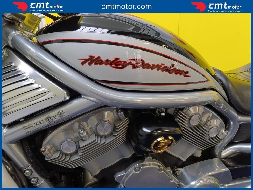 Harley-Davidson 1130 V-Rod (2002 - 05) - VRSCA (9)