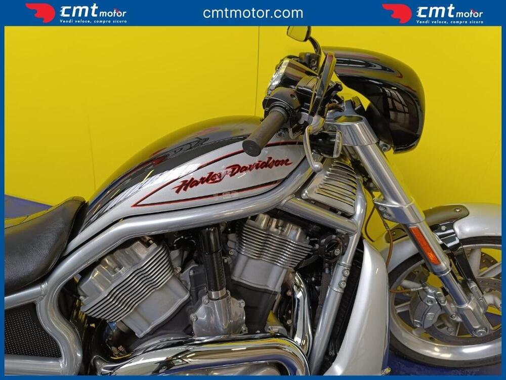 Harley-Davidson 1130 V-Rod (2002 - 05) - VRSCA (10)