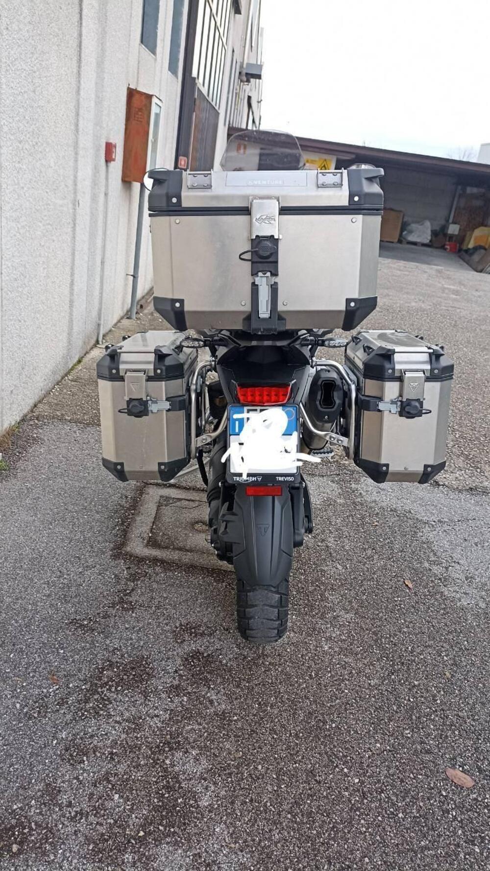 Triumph Tiger 1200 Rally Pro (2022 - 23) (3)