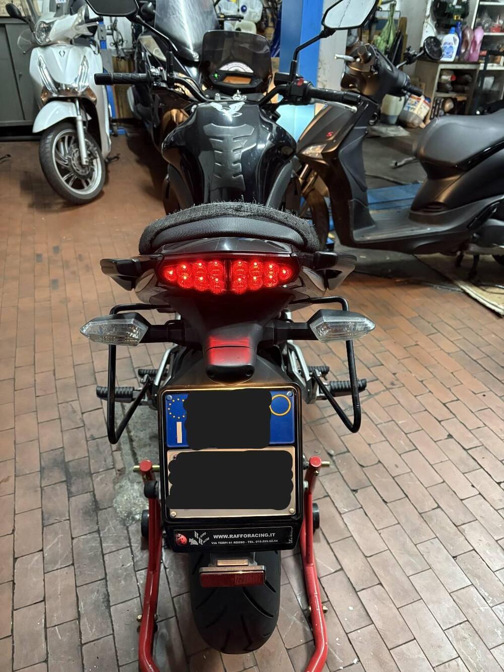 Kawasaki ER-6N (2009 - 11)