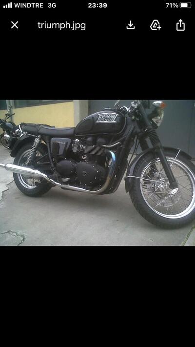 Triumph Bonneville 800 (2002 - 07) usata