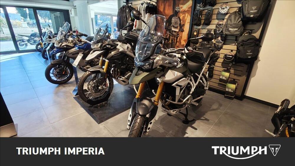 Triumph Tiger 900 Rally Pro (2020 - 23) (3)