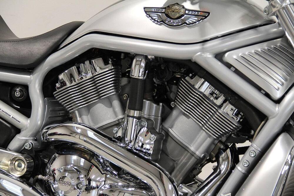 Harley-Davidson 1130 V-Rod (2002 - 05) - VRSCA (3)