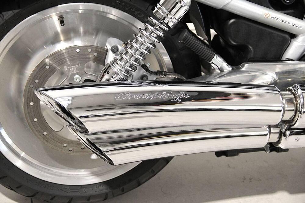 Harley-Davidson 1130 V-Rod (2002 - 05) - VRSCA (4)